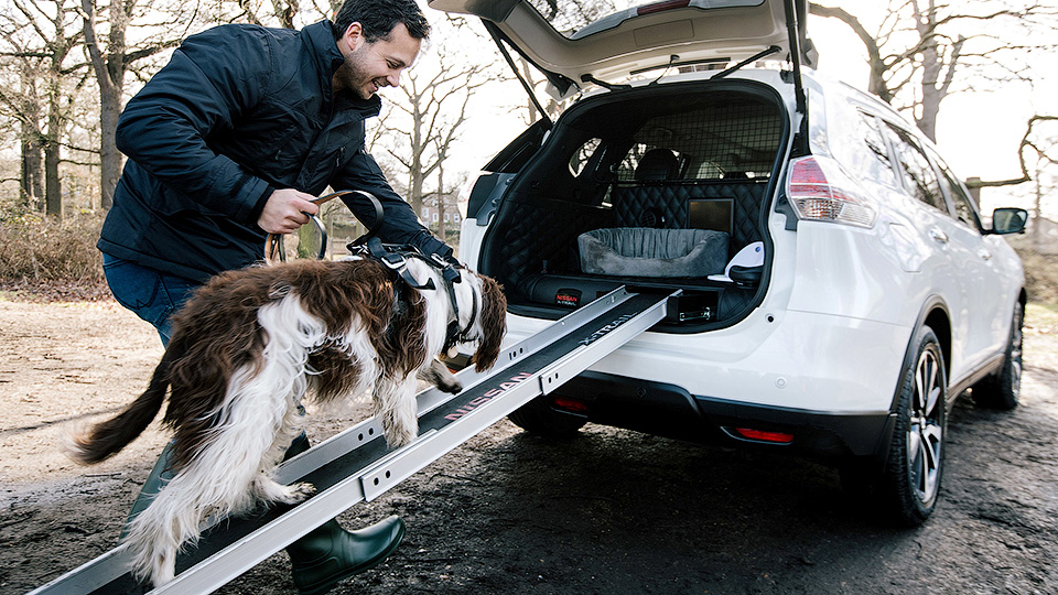 Душ, фен: Nissan приспособил X-Trail для собак