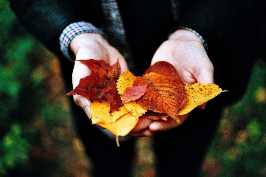 9 вещей, которые обязательно повторяются каждую осень