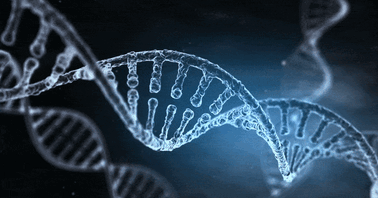 7 рис, які, виявляється, ми успадковуємо з генами